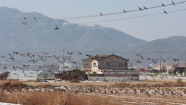 별립산 남쪽, 망월평야를 가르는 삼거천
