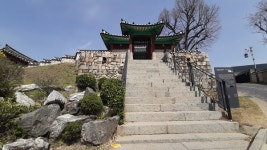 한옥에 보리수 - 외국인 사제가 지은 성당
