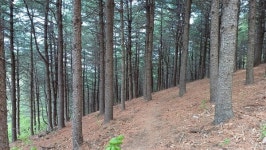 고려산·혈구산의 정기를 머금고, 저수지와 평야를 잇다