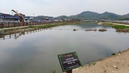 고려산·혈구산의 정기를 머금고, 저수지와 평야를 잇다