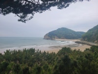 희고 고운 모래밭, 우거진 적송... 최고의 힐링 걷기