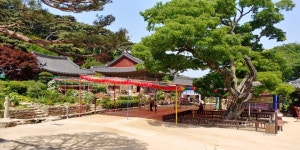 세상을 비추는 자비로운 등불, 전등사에서