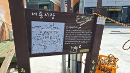 트롤리버스(인천씨티투어) 타고 교동도 가요