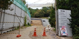 푸르게 키워낸 시절의 기억, 청학동에서