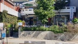 섬과 바다 박송우 화가 도든아트하우스에서 개인전