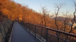 산림청 인증 첫 모범 도시숲 11곳 중 인천 3곳 포함