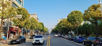 인천시, 28개 노선  44㎞ 명품 가로수길 조성 마무리