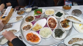 먹고, 보고, 자며... 배울 것 많은 신안 갯벌 생태관광