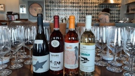 강화 포도만으로, 장인정신으로 만드는 연미정와이너리