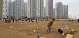 연수구, 송도·선학·옥련동 도시텃밭 분양