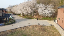 운서동 백년골 실개천 조성 사업 본격화