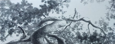 소나무 작가 신은섭 33번째 개인전 연다
