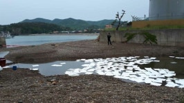 반복되는 백령발전소 송유관 기름 유출… 근본 대책 마련해야