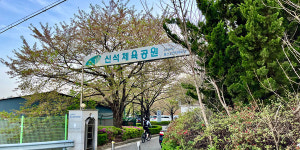 꽃잎이 위로를 건네는 시간, 신석체육공원에서