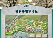 꽃잎이 위로를 건네는 시간, 신석체육공원에서
