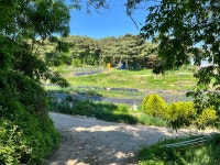 뒷동산의 따듯한 구름사다리, 운연동에서