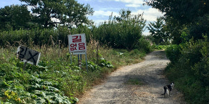 뒷동산의 따듯한 구름사다리, 운연동에서