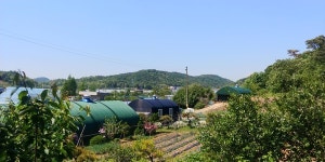 뒷동산의 따듯한 구름사다리, 운연동에서