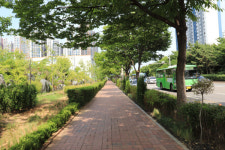 계양구 봉오대로 도시바람길숲 조성