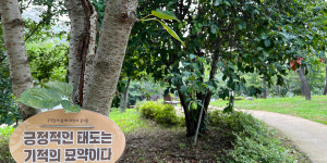갈산에 흐르는 시원한 꿈, 갈산근린공원