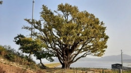 볼음도의 약속, 생명·평화의 섬으로