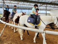 도시서 농어촌으로 유학… 강화·옹진의 실험