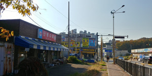 오동잎 따라 걷는 가을 벌판, 오류왕길동에서