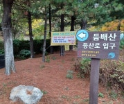 숲속의 자연 황톳길, 듬배산을 맨발로 걸으며 가을 깊은 곳으로