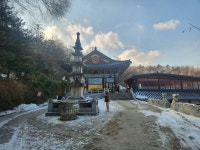 도심 숲의 편안함과 여유로 맑은 기운을 채운다 - 우면산 소망탑