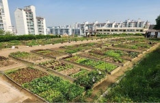 미추홀구, 승학산 공영텃밭 177면 분양