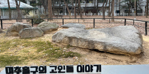 질서 속에 부는 변화의 바람, 학익법조타운