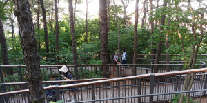 지그재그 검단 앞구르기, 황화산에서