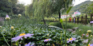 공단 건너 다정한 이야기밭, 가재울에서