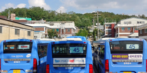 기억의 지붕 위로 푸르게 부는 바람, 청천농장에서