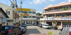 기억의 지붕 위로 푸르게 부는 바람, 청천농장에서