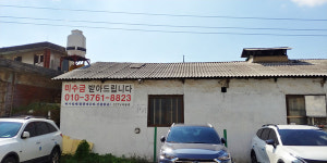 기억의 지붕 위로 푸르게 부는 바람, 청천농장에서