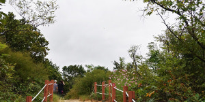 파랑새를 따라 피리 불며, 동암산에서