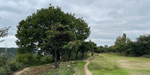 파랑새를 따라 피리 불며, 동암산에서