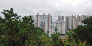 파랑새를 따라 피리 불며, 동암산에서