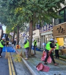 은행 악취 물렀거라... 미추홀구, 은행나무 열매 조기 제거 작업