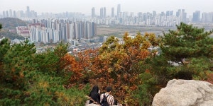 붉고 푸른 향수로 물들어버린, 청량산에서