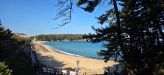 축복받은 날씨, 동해 해파랑 행복한 섬길을 걷다