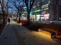 구월남로 벚꽃길 경관개선 사업 완료