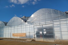 궂은 날씨, 한파에도 좋다 - 비닐하우스 맨발 산책길