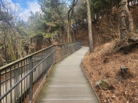 300만 인천의 약속, 장수산 길 위에서 읽다