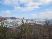 300만 인천의 약속, 장수산 길 위에서 읽다