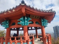 300만 인천의 약속, 장수산 길 위에서 읽다