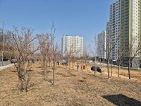 제81회 식목일 맞아 350그루 식재