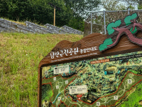 강화 남산근린공원 산책길에서 마주한 장미