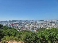 맑은 계곡 도롱뇽의 유영, 무장애 숲길에 차오른 신록